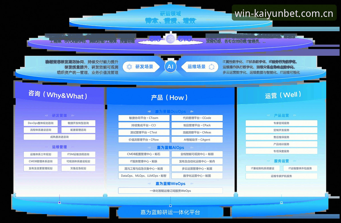 kaiyun下注平台入口访问体验报告：开云官网怎么进常见问题深度评测与实证分析